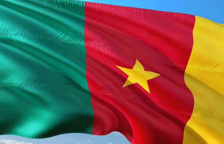 Cameroon’s stance on visa-free travel in Africa: understanding the reasons