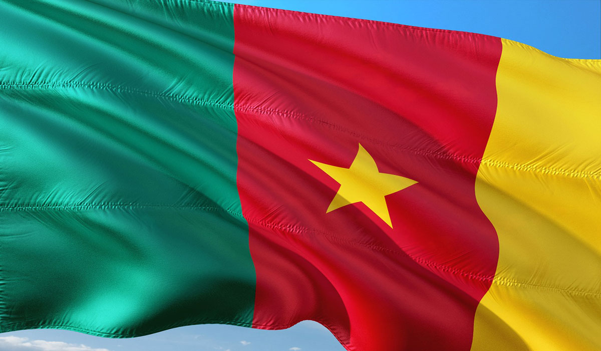 Cameroon’s stance on visa-free travel in Africa: understanding the reasons