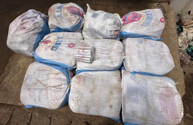 Bénin customs disrupt explosive smuggling network in northern operation