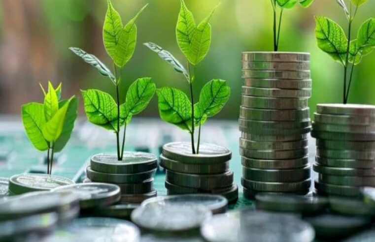Morocco unveils green finance roadmap for decarbonized economy