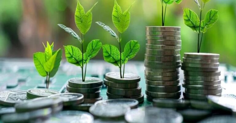 Morocco unveils green finance roadmap for decarbonized economy
