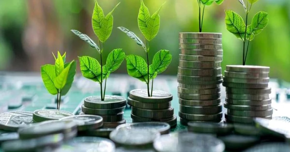 Morocco unveils green finance roadmap for decarbonized economy