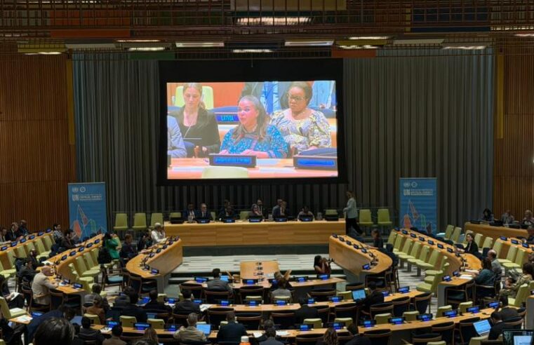 Critical minerals at un: DRC warns of Rwanda army inaction amid global energy shift