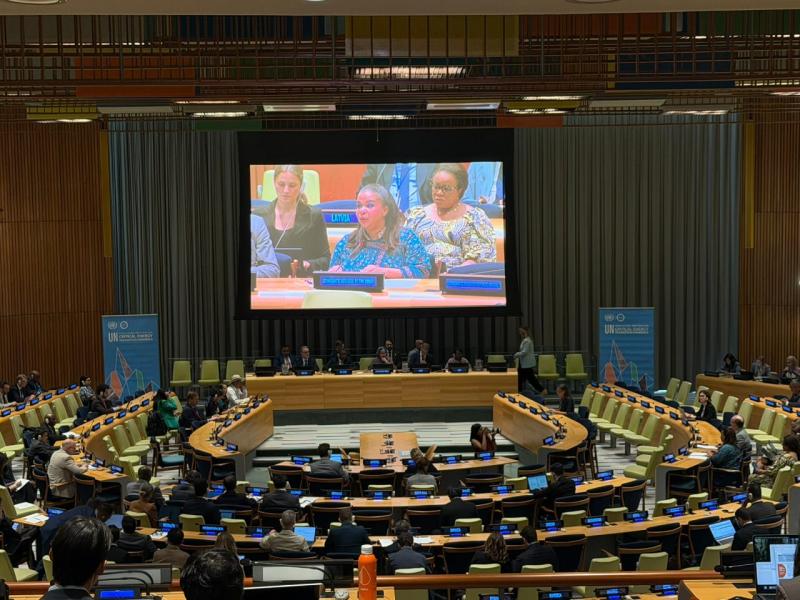 Critical minerals at un: DRC warns of Rwanda army inaction amid global energy shift