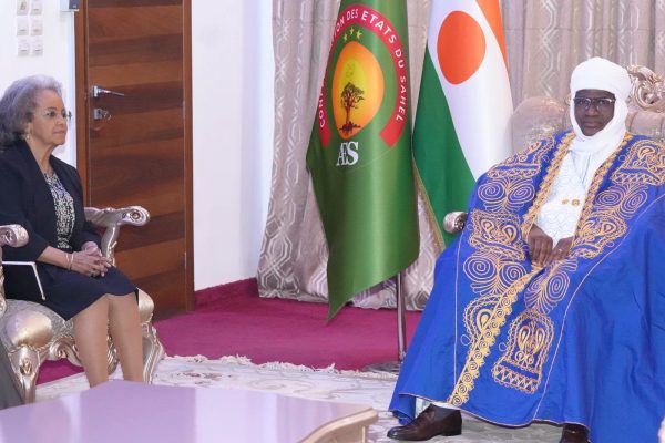 Niger pushes for UNOWAS reform amid evolving Sahel challenges