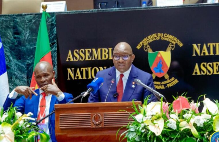 DRC highlights ecological crisis from Rwanda-backed M23 in francophone assembly
