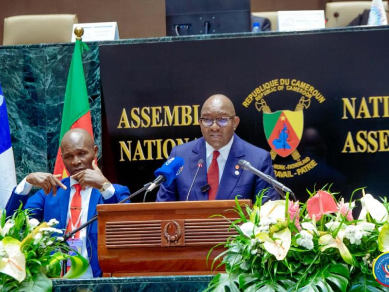 DRC highlights ecological crisis from Rwanda-backed M23 in francophone assembly