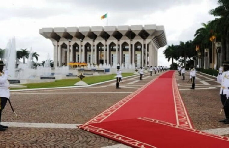 Cameroun: political party urges transparency amid prolonged presidential absence