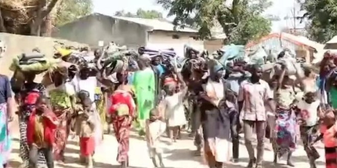 Mayo-tsanaga gripped by ashes: boko haram’s devastation and state inaction