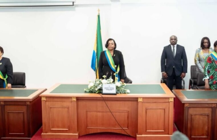 Gabon senate demands fairer distribution of legislative texts