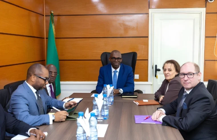 Gabonese government and imf continue constructive economic discussions