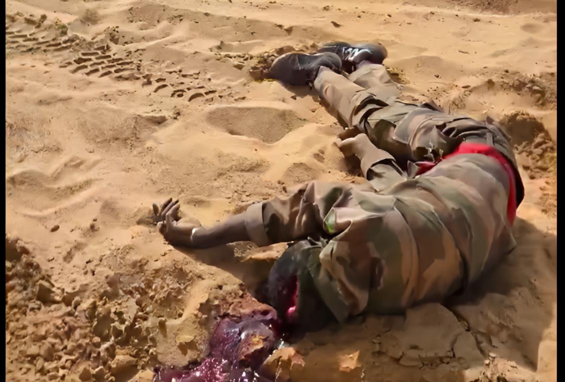 Military convoy ambushed in northern Mali