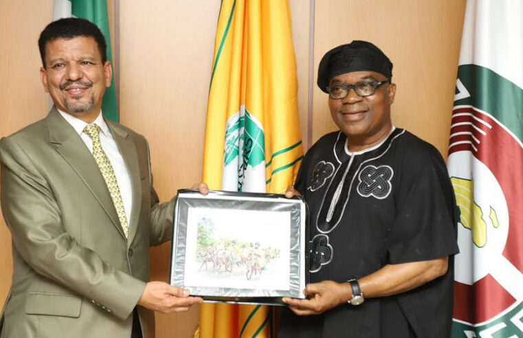 Nigeria’s unwavering support for Western Sahara challenges Morocco’s pipeline ambitions