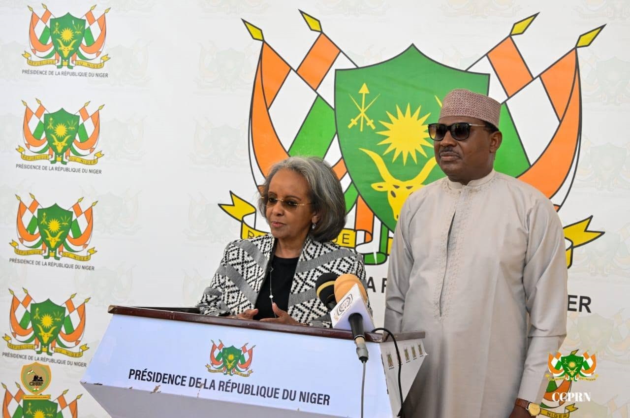 Diplomatic meeting in Niger
