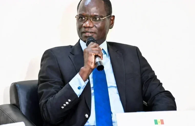 Minister abdourahmane diouf renews criticism of ousmane sonko over special credits bill