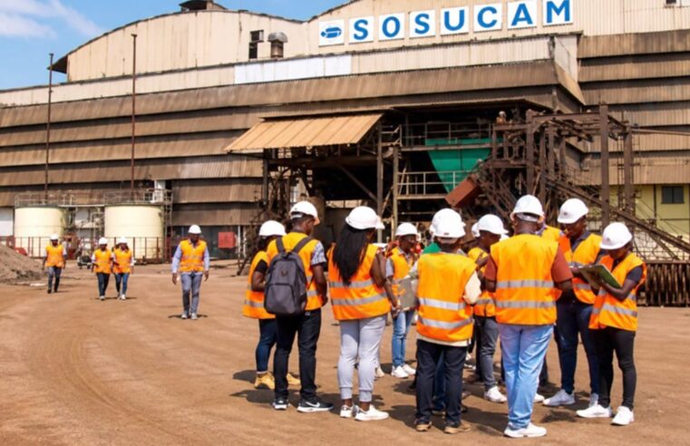 Cameroun: the Sosucam takeover reshaping the sugar industry