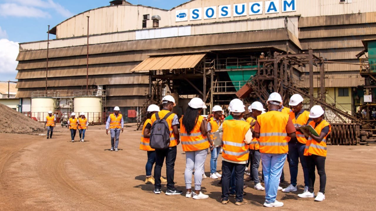 Cameroun: the Sosucam takeover reshaping the sugar industry