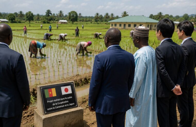 Japan boosts Cameroon’s economy with $646 million in development support