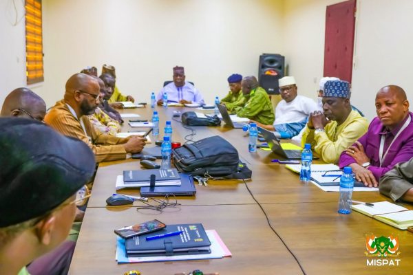 Niger’s mid-term progress: strengthening public service and regional influence