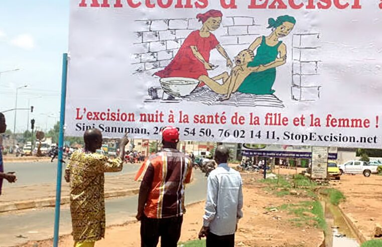Assimi goïta and the delicate fGM debate in Mali