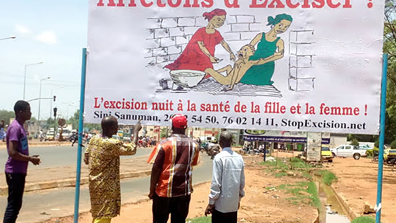 Assimi goïta and the delicate fGM debate in Mali