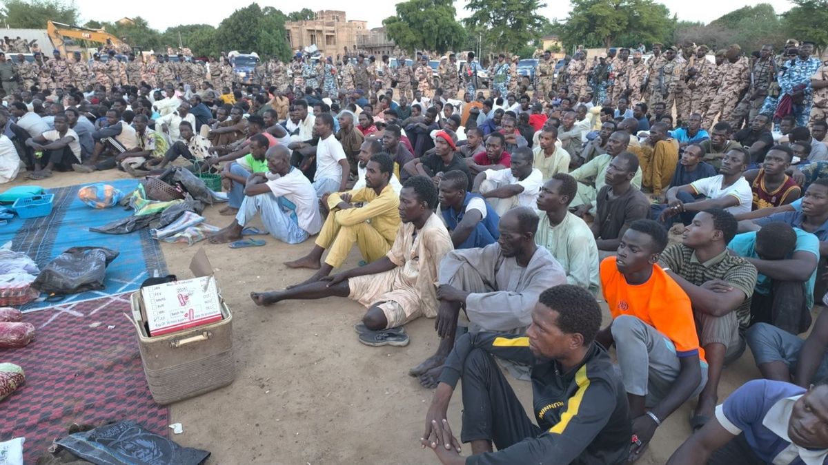 N’Djamena: a major security sweep nets 252 arrests in anti-crime drive
