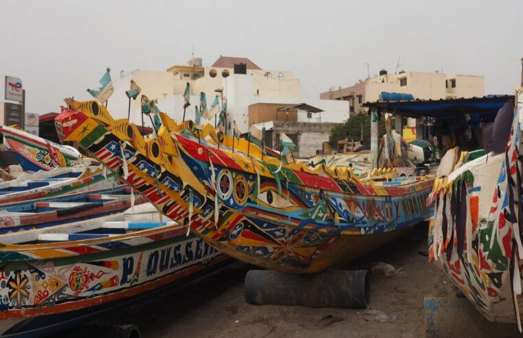 Senegal’s import surge in june contrasts with a broader economic slowdown