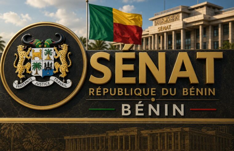 Bénin: how the senate reinforces stability without changing executive power