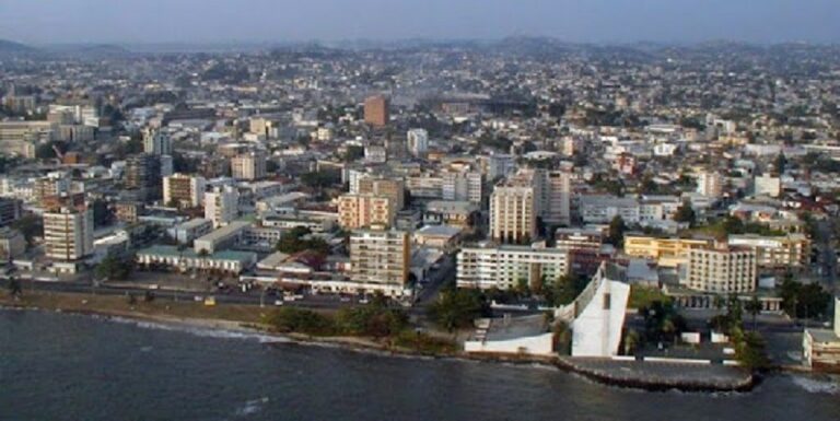 Libreville hosts African leaders ahead of Gabon’s independence day