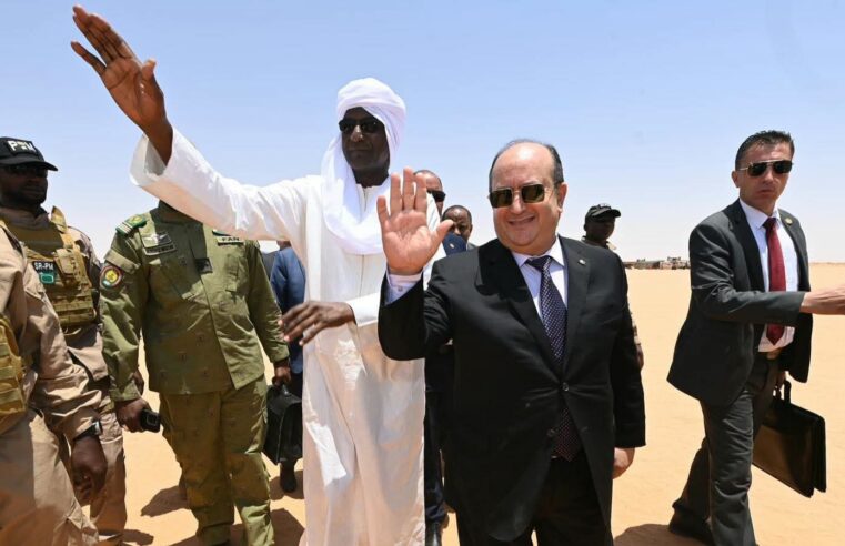Algeria and Niger launch Kafra South oil exploration project
