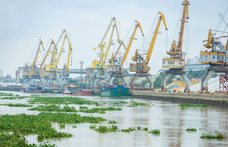 Cameroon slashes EU import tariffs by 70% under APE deal