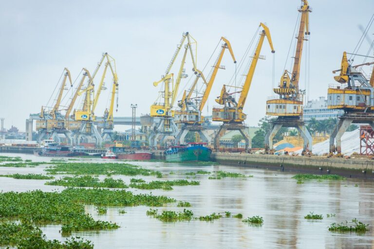 Cameroon slashes EU import tariffs by 70% under APE deal