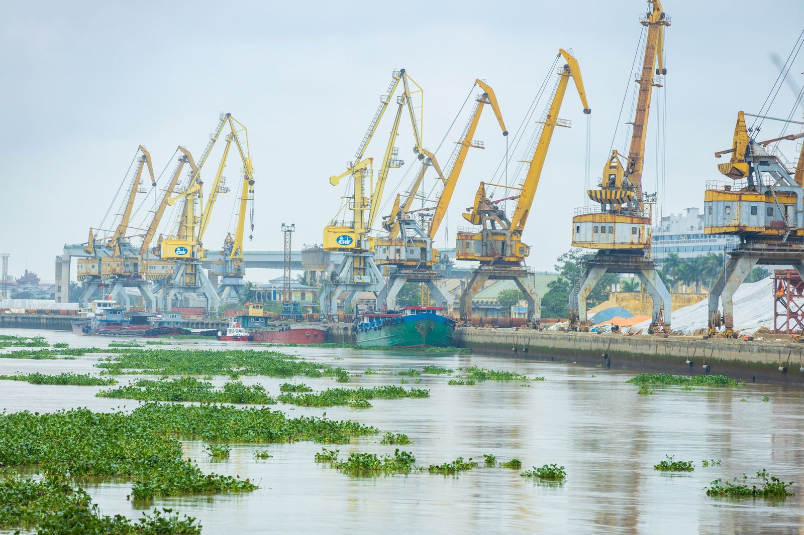 Cameroon slashes EU import tariffs by 70% under APE deal