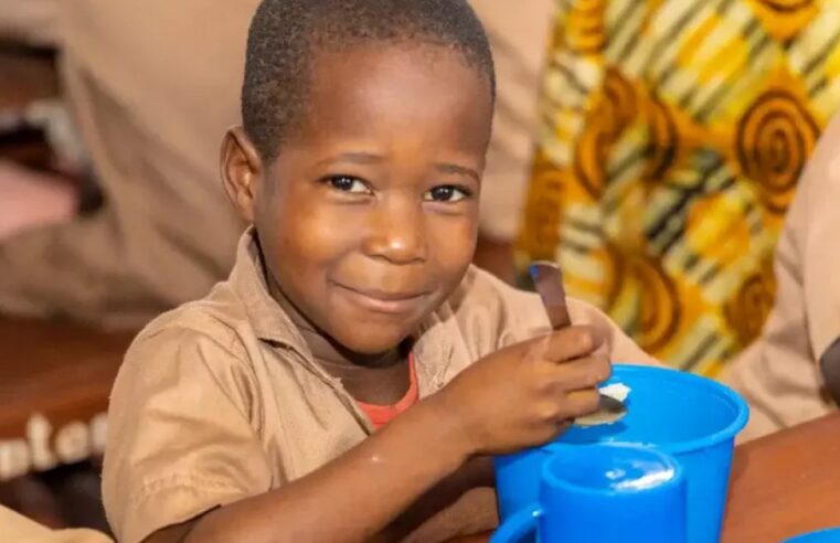 Bénin 2060: education council bets on science and vocational training