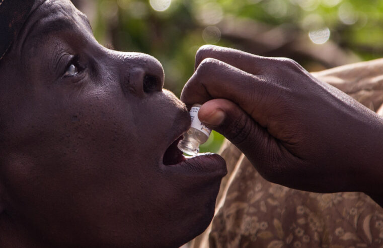Cholera outbreak in Chad claims 13 lives