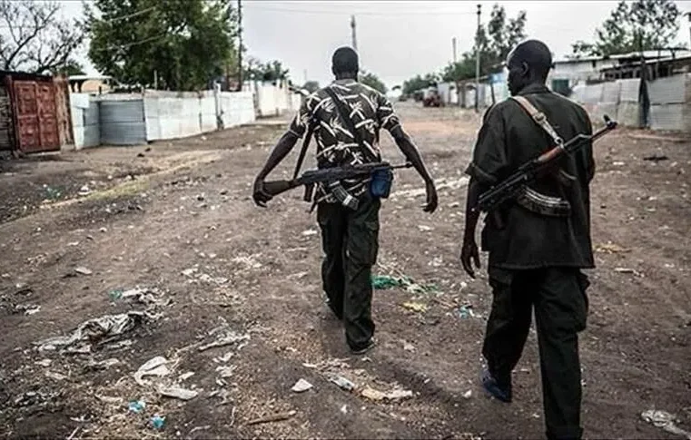 Deadly boko haram attack rocks Cameroun’s far north region