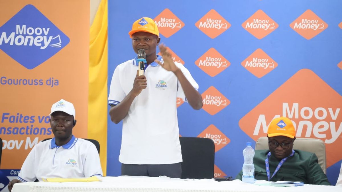 N’Djamena: empowering chadian youth through professional skills training
