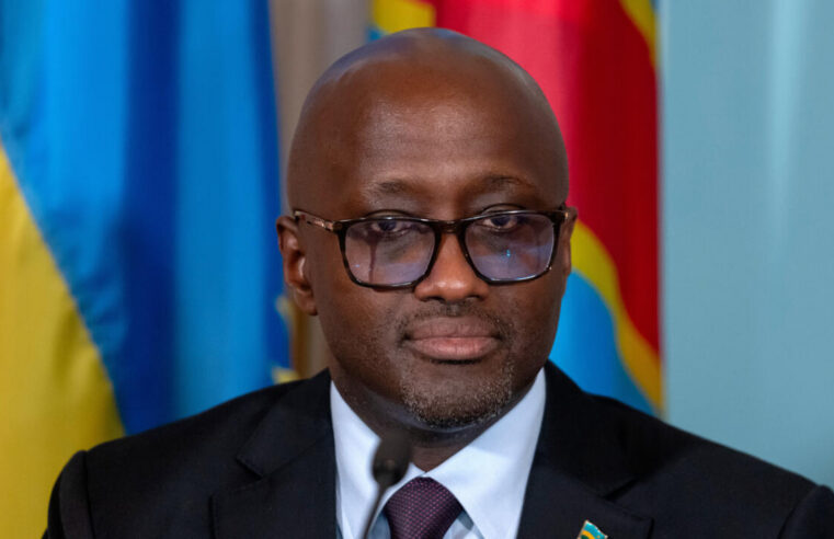 Unveiled protocol for surrendering FDLR rebels in democratic republic of Congo