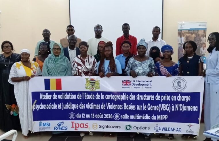 N’Djamena validates mapping of gender-based violence support services