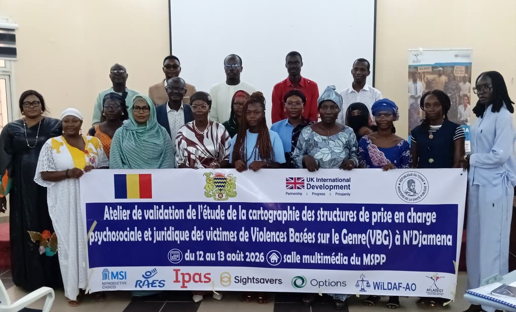 N’Djamena validates mapping of gender-based violence support services