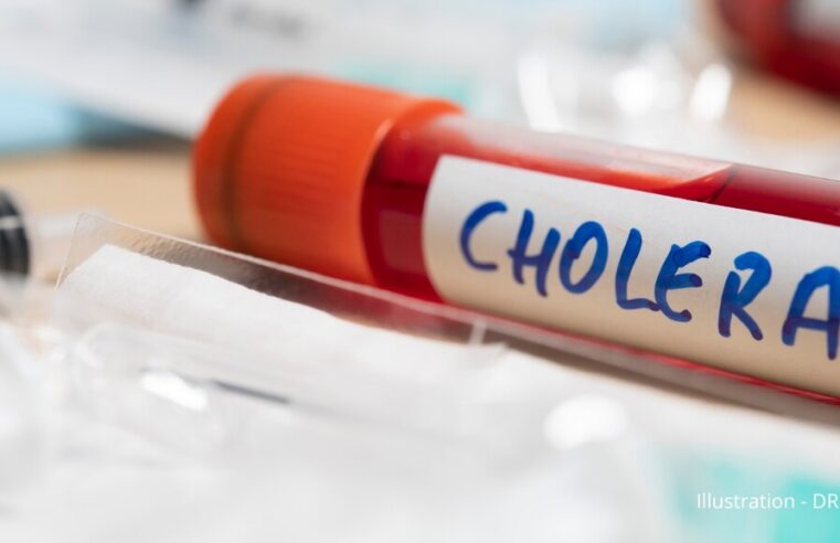 Cholera outbreak in Chad claims 13 lives, over 230 cases confirmed