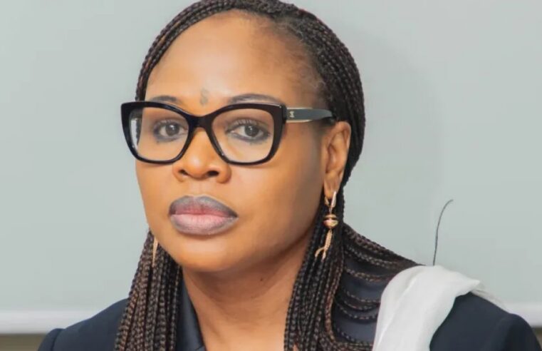 Benin minister meets smes in alibori and borgou to boost local economy