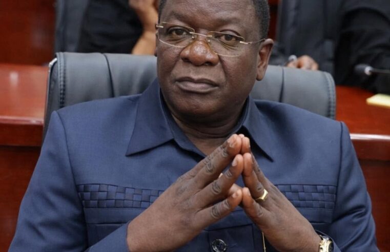 Tchad: presidential pardon sparks hope for political détente
