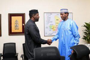 Niger’s sovereignty mirage masks un aid reality