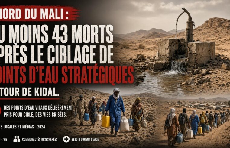 43 dead as strikes destroy water wells near Kidal in northern Mali