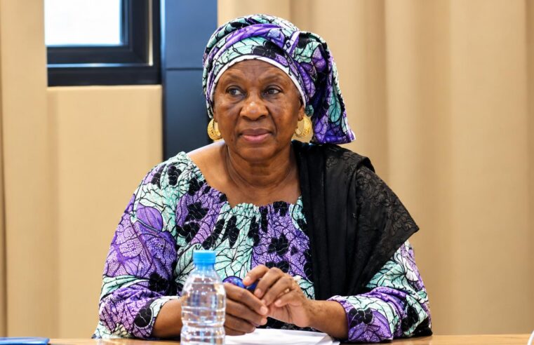 Bandiagara killings: rights body urges Mali state to uphold its duty