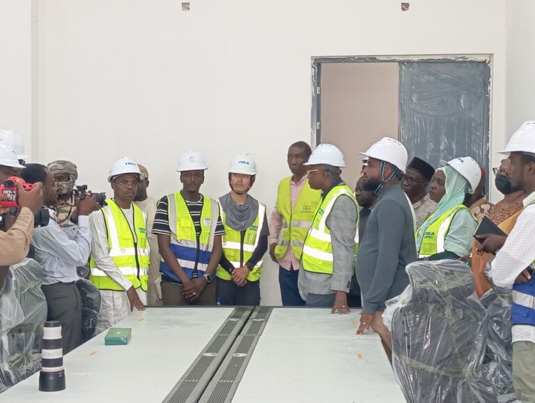 Chad’s solar surge: breaking free from thermal dependency with renewable breakthrough