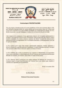 Mali’s shifting sands: why the FLA’s exit from Kidal is a calculated gamble