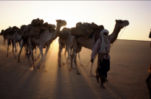 Behind the drone strike in Niger: uncovering the real players behind Agadez attack