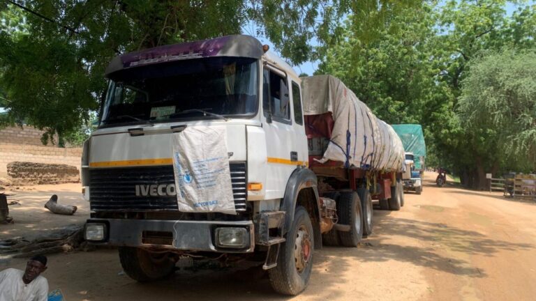 Cameroon-Nigeria trade resurgence fuels economic turnaround in far north